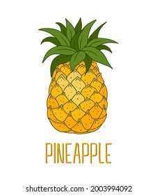 Cartoon juicy yellow whole Pineapple on white background. Summer tropical exotic Fruit. Natural vegetarian healthy sweet food. Cute vector element isolated for print design, poster, card, invitation