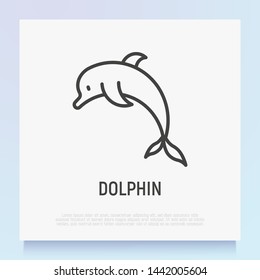 Cartoon jumping  dolphin thin line icon. Modern vector illustration.