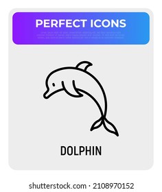 Cartoon jumping  dolphin thin line icon. Modern vector illustration.