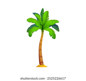 Cartoon jungle coconut and banana palm tree. Isolated vector tall and slender tropical plant with a lush crown of long, feathery leaves, symbolizes beach relaxation, vacation and exotic destinations