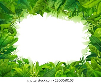 Marco de la jungla de dibujos animados. Plantas de selva tropical, jardín cielos o eden, fondo vectorial de la flora forestal tropical. Viaje de vacaciones en Hawái, paraíso de verano y marco limpio del medio ambiente con hojas y lianas