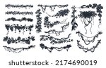 Cartoon jungle lianas branches silhouette, tropical forest climbing sprouts. Rainforest garden hanging liana vines elements vector illustration set. Liana plants black silhouettes