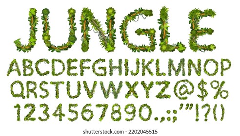 Cartoon jungle lianas font, typeface, type alphabet. Vector abc uppercase letters, digits and punctuation signs. English or latin symbols of green palm tree leaves and branches, isolated typeset