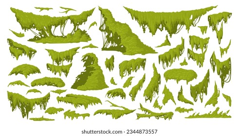 Cartoon jungle moss. Green moss plants, hanging and creeping lichen and moss flat vector illustration set. Rainy forest flora collection