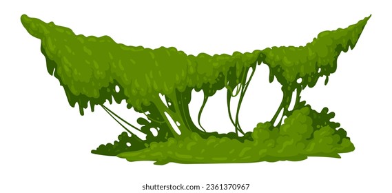 Cartoon jungle moss plants. Green hanging moss, tropical forest flora flat vector illustration. Creeping lichen