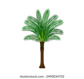 Cartoon jungle rainforest palm tree. Isolated cartoon vector tropical plant with lush fronds foliage. Vibrant prehistoric landscape element, game asset for a Jurassic period environment, exotic palm