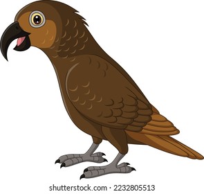 Cartoon Kaka Bush Parrot on White Background