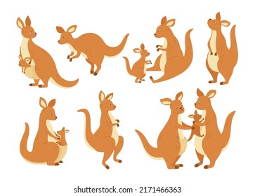 Cartoon kangaroo family. Mother wallaby with baby in bag, Australia marsupial animal and kangaroos in different poses vector illustration set. Kangaroo australia family in zoo