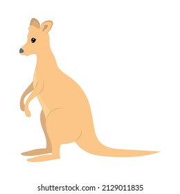 cartoon kangaroo icon on white background