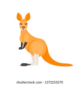 Cartoon kangaroo isolated on white background. Vector illustration