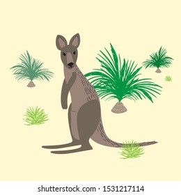 Cartoon kangaroo and macrosamia green plantings. Australian wildlife scene vector illustration.