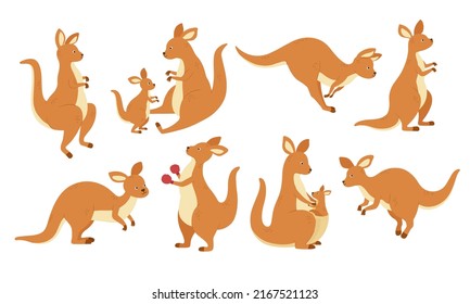 Cartoon kangaroo mascot. Jumping Australian animals, kangaroos in different poses vector set. Illustration of kangaroo wildlife, fauna mascot