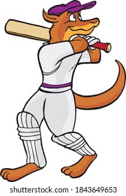 Cartoon kangaroo playing cricket, isolated on white
