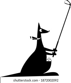 Cartoon kangaroo plays golf illustration. Funny kangaroo with a golf club and golf balls black on white
