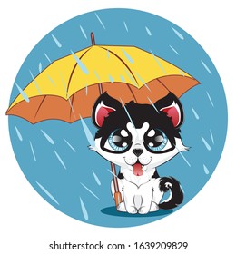 Cartoon kawaii puppy husky dog with big blue eyes.