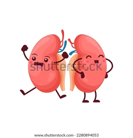 Cartoon kidneys body organs characters. Vector human reins anatomical positive personage with cute smiling face. Funny medical education of urinary system, anatomy science for kids, renal health care