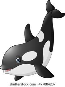 Cartoon killer whale 