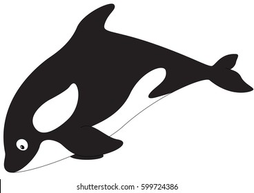 Cartoon killer whale for babies and little kids. Picture isolated on white background