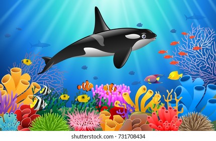 Cartoon killer whale with Coral Reef Underwater in Ocean. Vector illustration