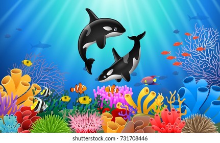 Cartoon killer whale with Coral Reef Underwater in Ocean. Vector illustration