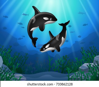 Cartoon killer whale Coral Reef Underwater in Ocean. Vector illustration