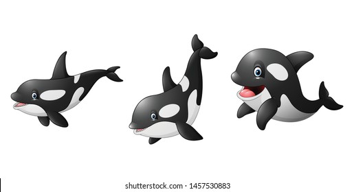 Cartoon killer whale illustration colelctions