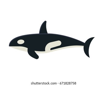 Cartoon killer whale isolated on white background. Orca vector illustration in flat design.