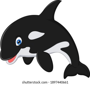 Cartoon killer whale on white background