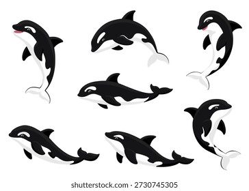 Conjunto de orca de desenhos animados. Coleção de orca vetorial plana com animais marinhos fofos em diferentes poses, saltando, nadando, sorrindo. Ilustração divertida da vida selvagem isolada no branco.