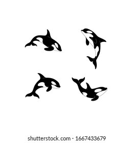 Cartoon killer whale sketch line icon. Сute animals set of icons.