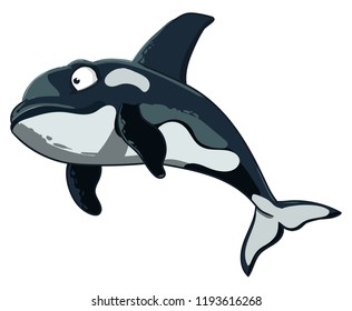 Cartoon kind orca killer whale