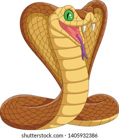 Cartoon king cobra snake on white background