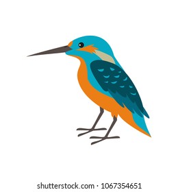 Cartoon kingfisher icon on white background. Vector illustration.