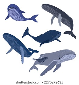 Cartoon kit of whales. Underwater world, marine flora and fauna. Vector illustration of whales