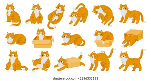 Los gatos gatitos de caricatura son personajes lindos. Gatos rojos en diferentes poses, diversas emociones y comportamiento aislados en el fondo blanco. Conjunto de vectores. Mascotas de jengibre domésticas felices y tristes, escondiéndose, jugando