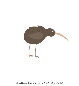 Cartoon-Kiwi-Vogel - einheimisches neuseeländisches Tier mit langer Schnabel einzeln auf weißem Hintergrund. Vektorgrafik brauner exotischer gefährdeter flightloser Vogel.