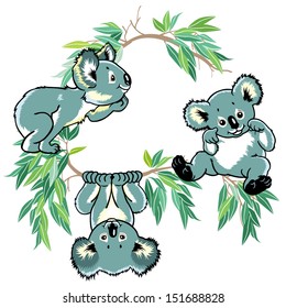 cartoon koala bears climbing eucalyptus tree, children illustration isolated on white background