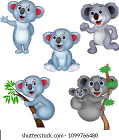 Cartoon koala collection set