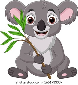 Cartoon koala holding a branch of eucalyptus tree