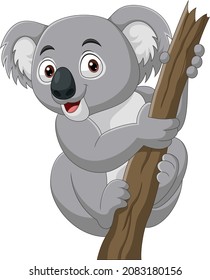 Cartoon koala on a tree branch