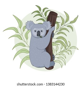 Cartoon koala on a tree vector illustration.