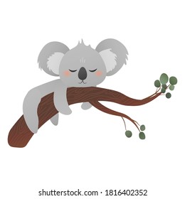 Cartoon koala sleeping on tree with eucalyptus leaves, greeting card or sticker for kids