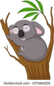 Cartoon koala sleeping on a tree branch