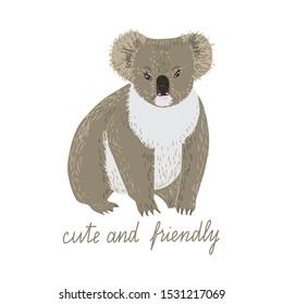 Cartoon koala with text cute and friendly. Childish tee shirt design.