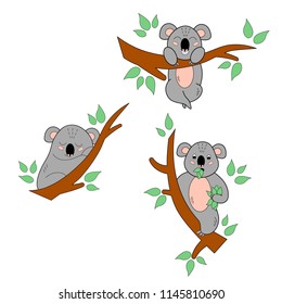 Cartoon koalas on the eucalyptus tree set. Children book. Vector illustration.