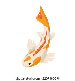 Cartoon koi carp vector illustration. Red and gold oriental fishes swimming in water isolated on blue background. Traditional japanese, chinese botanical garden