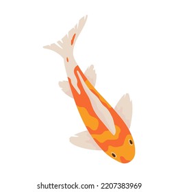 Cartoon koi carp vector illustration. Gold oriental fishes swimming in water isolated on blue background. Traditional japanese, chinese botanical garden