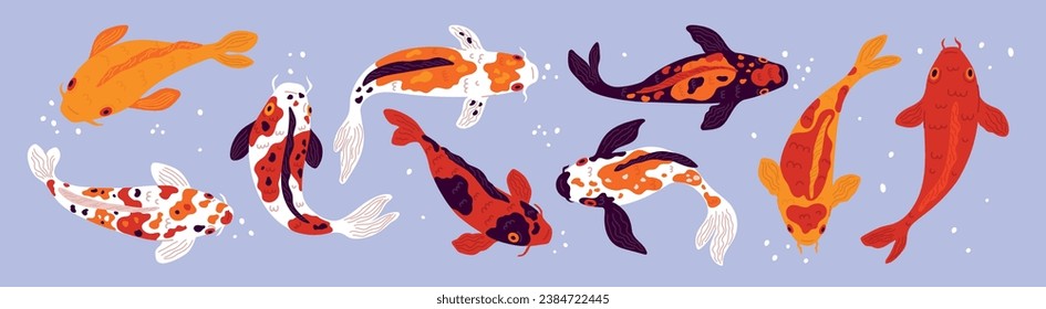 Caricatura de peces koi. Diferentes colores estancan la vista superior de las carpas japonesas. Habitante decorativo subacuático. Pescado de oro visto en Asia. Animales acuáticos chinos nadando en el acuario