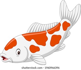 Cartoon koi fish on white background