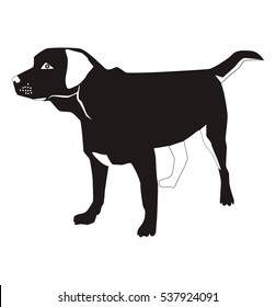 Cartoon labrador retriever dog trains. Vector illustration